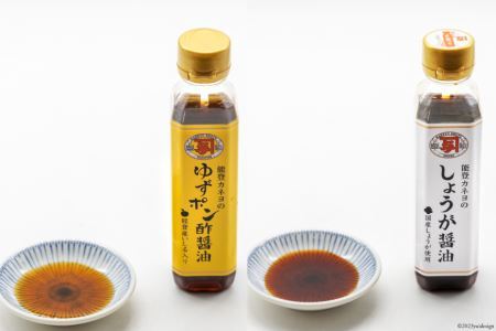 能登 カネヨの醤油 味噌 6点セット（ 味醤油 入り） [カネヨ醤油 石川県 志賀町 AG4123]