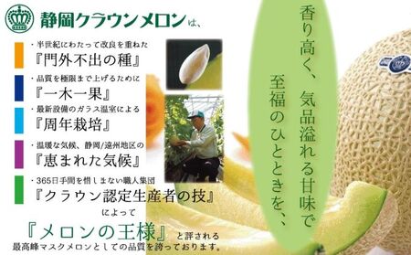 クラウンメロン　規格外特大玉　2玉入【毎月お届け6ヶ月定期便】【配送不可：離島】 果物 フルーツ デザート おやつ おもてなし ブランド 温室 温室育ち 濃厚 超特大サイズ 静岡県産 浜松市産 半年 