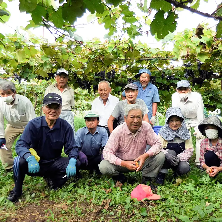八千代夢ワインシリーズ　ヤマ・ソーヴィニョン（赤）・つくば甲州（白）２本セット（茨城県共通返礼品 八千代町） 国産 ワイン 赤ワイン 白ワイン [BW008sa]