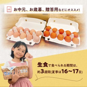 名古屋コーチン卵・仙寿卵お試しセット(各10個入り)良質卵[006K02]