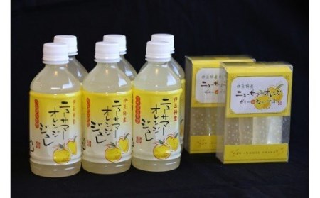 ニューサマーオレンジ　ジュレ　ゼリーdeシャーベット(大)　B015／甘味しるこや悠遊庵　ジュース　静岡県　東伊豆町