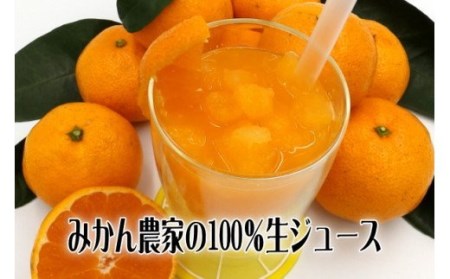 みかん狩り　収穫体験　搾りたて　生ジュース　お土産付　2名様　B018／収穫体験農園ふたつぼり　静岡県　東伊豆町