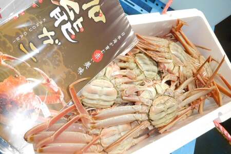 【期間限定発送】【能登半島 漁協直送！】ボイル済 香箱ガニ 10尾[JF西海 石川県 志賀町 AM4228]