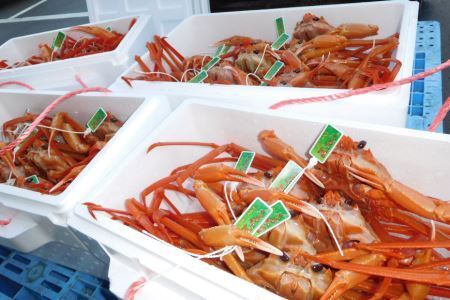 【能登半島 漁協直送】 ボイル 紅ズワイガニ 4尾 (大サイズ) 計2.5kg 前後 [JF西海 石川県 志賀町 AM4224]