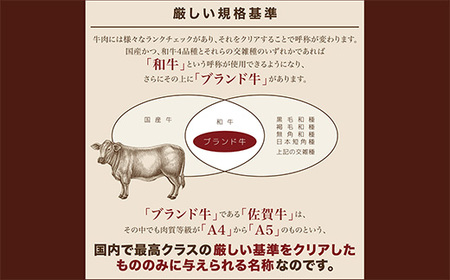 佐賀牛 ガッツリ ステーキ 1ポンド（約454g）| ももステーキ モモ 牛肉 _b-339