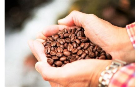 スペシャルブレンド ブナの森 豆 180g×2 コーヒー 奥大山の水洗い珈琲 0774