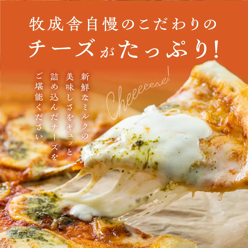 訳あり＜牧成舎＞飛騨のチーズたっぷりピザセット（３枚）訳あり ピザ 訳あり マルゲリータ 訳あり チーズ 訳あり おまかせ 訳あり [B0002] 