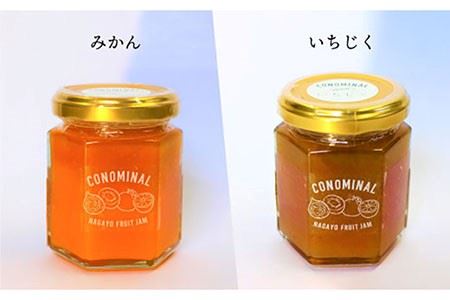【全6回定期便】 季節の果実ジャム 毎月3本（120g/本） 長与町/アグリューム [EAI008]  瓶 個別 セット ジャム