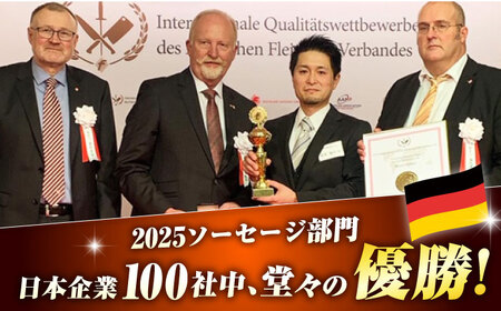 【3点×6回定期便】ハムセット おためし 3品 [EAM051] 国産ハム ベーコン ブロック  ハム詰合せ 無添加 金賞 定期便