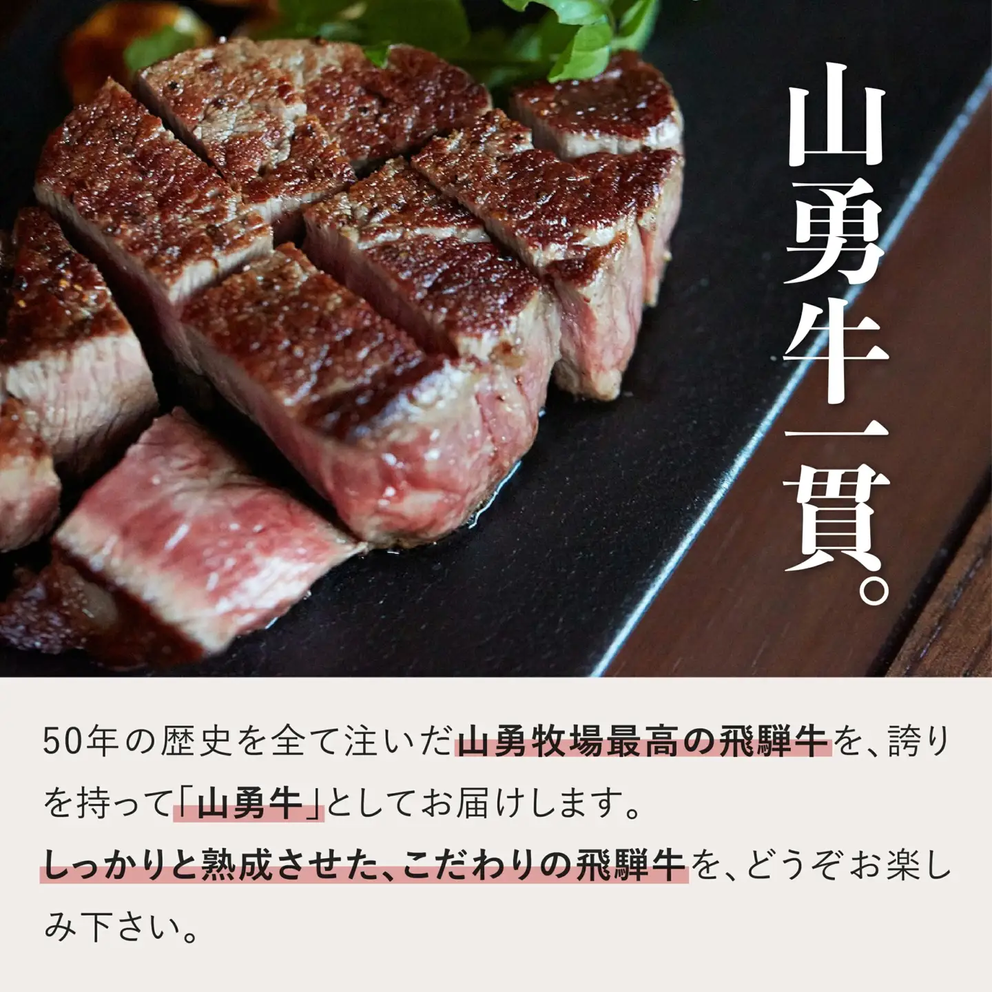 熟成めす 飛騨牛 山勇牛 煮込み用 カレー シチュー 角煮 500g 飛騨牛 カレー シチュー 角煮［B0061chFZ］