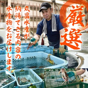 天然 クログチ (約2kg・計2-4本) 直送 産直 漁師 魚 鮮魚 天然 クログチ カマガリ 釜借 白身魚 獲れたて 刺身 煮つけ 塩焼き 冷蔵 豊後水道 鮮魚 大分県 佐伯市【CS09】【 (有)丸昌水産】
