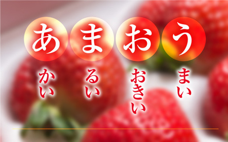 いちご あまおう 24～30粒 いちご [um40azo970008]