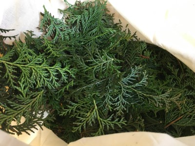 36-1 KAGYA JAPAN　エッセンシャルオイル【HINOKI】（5ml×3本セット）