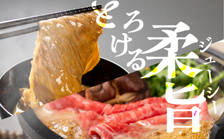 飛騨牛 すき焼き赤身500g JAひだ すき焼き [Q3003]