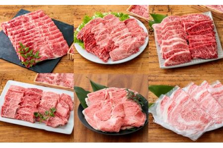 国産ブランド牛の定期便『宮崎牛たかはる定期便G』(12回) TF0400-P00020