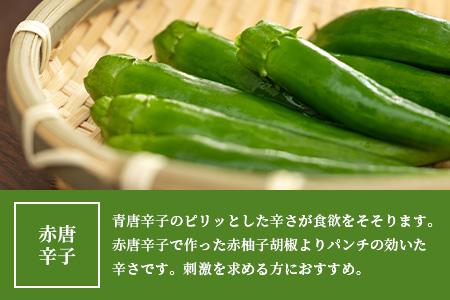 【椎葉村産天然ゆず・唐辛子使用】青柚子胡椒 2本×60g 柚子胡椒 柚子こしょう 青柚子胡椒 柚子 天然ゆず 調味料 薬味 うどん 餃子 HF-84