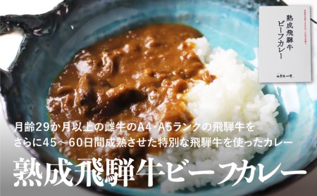 熟成ビーフカレー８食＆飛騨牛ラーメン６食セット［D0039pi］