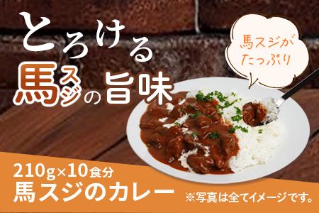 馬スジのカレー 10食 セット 合計2.1kg 【カレー レトルト レトルトカレー 馬すじ 馬スジ 馬 すじ スジ 時短 人気 熊本県 多良木町】 031-0423