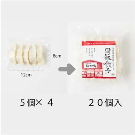 定番のかごしま黒豚餃子100個(タレ付)【配送不可地域：離島】【1185990】