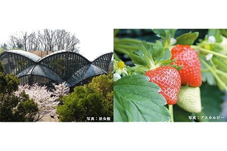 (返礼品なし)誇れる郷土・かしはら応援寄附金(1,000円単位でご寄附いただけます)
