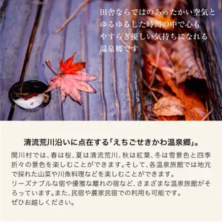 選ばれる温泉体験 3,000円分の温泉宿泊利用券【1278597】