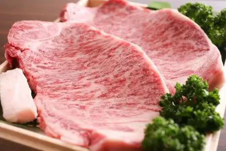 半年定期便 肉の日定期便 飛騨牛 極 [L0008]