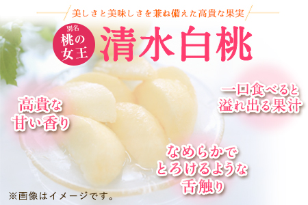 先行予約 清水白桃 約2kg 