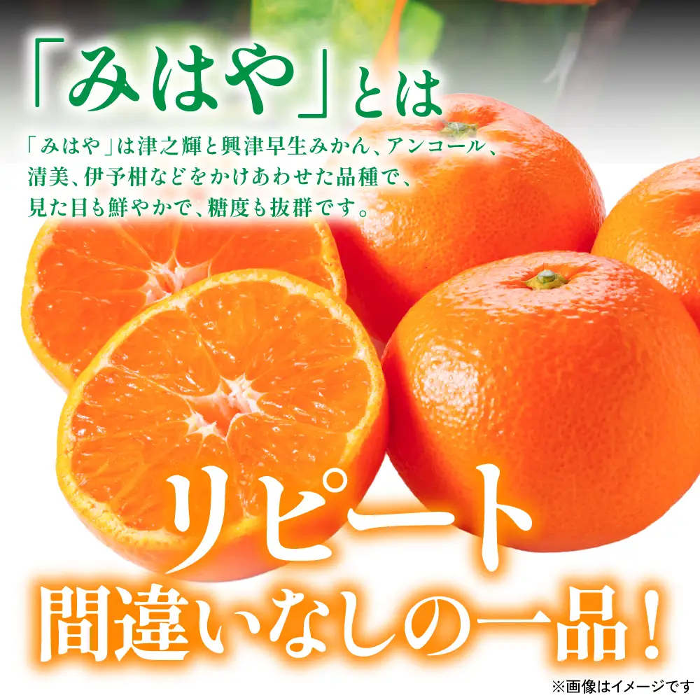 【先行予約】 みかん 八代市東陽産 山本さん家の「 みはや 」 5kg みかん【2026年12月上旬より順次発送】