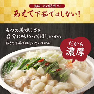 国産和牛もつ鍋（塩味）2～3人前×2セット ／ ちゃんぽん麺 もつ鍋【B067】