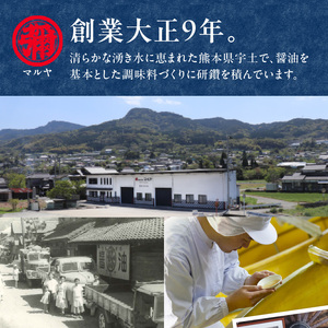 マルヤ魔法のつゆ 750ml×6本セット _U94-0009