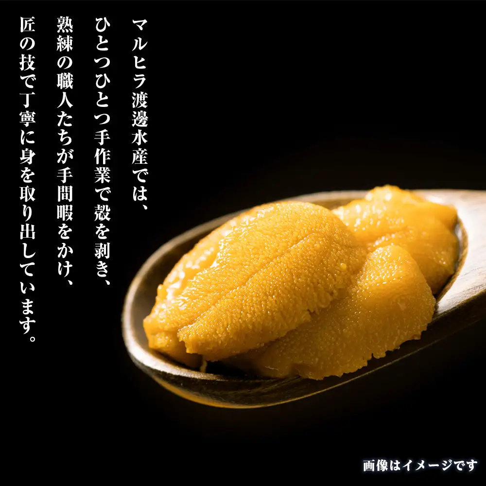 2026年 発送予約 ウニ本来の味が楽しめる【白老産】塩水ムラサキウニ 100g×2パック BT008