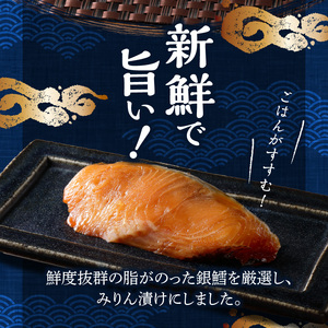 銀ダラみりん 10枚セット_銀だら みりん漬け セット 40g × 10枚 計400g 小分け 切り身 鮮度抜群 新鮮 美味しい 魚 焼き魚 おかず ごはんのお供 お弁当 おつまみ 酒の肴 漬け魚 冷凍 お取り寄せ お取り寄せグルメ 福岡県 久留米市 送料無料 〔Cs322〕
