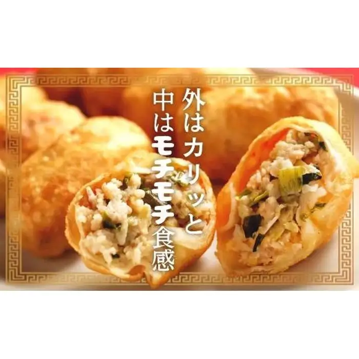 カリットギョウザ 生餃子 48ケ【6人前】ジューシー 大きい 餃子 冷凍餃子 冷凍生餃子 