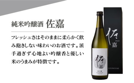 【The SAGA認定酒】佐嘉 飲み比べセットA【白木酒店】[HAQ035]日本酒 