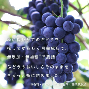 紫波町のぶどうジュース 2本セット 6か月熟成 濃厚100％ストレート 【 無添加 無加糖 】（AL062-1）