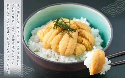 北海道小樽市 塩水キタムラサキ ウニ 100g×1パック 【漁師直送】【決済より7日程度で発送】