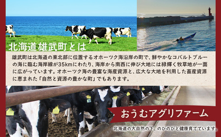 雄武産牛肉セット(冷凍)牛バラ肉350g牛もも肉350g【0911301】