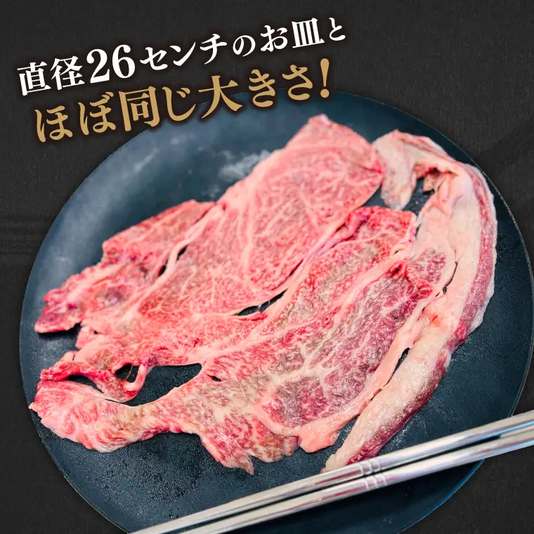 6ヶ月連続 定期便 いわて牛 カルビ 600g 肩ローススライス(AB019-1) カルビ