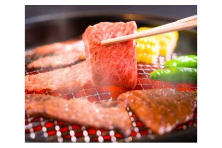 伊予牛絹の味 ロース 3種 (ステーキ&すき焼き&焼肉) (冷凍）｜ 黒毛和牛 A4～A5
