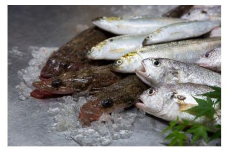 並すまき15本入り（すまき［蒲鉾］）｜ 練り物 魚介 かまぼこ