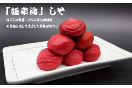 「媛幸梅」梅干2種セット（260g×2個）｜伊予南高梅