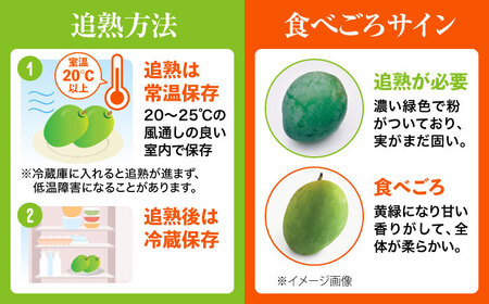 【先行予約 数量限定】 贈答用 キーツマンゴー 約2kg (2〜5玉 / 化粧箱入り) マンゴー 沖縄 BCAA006
