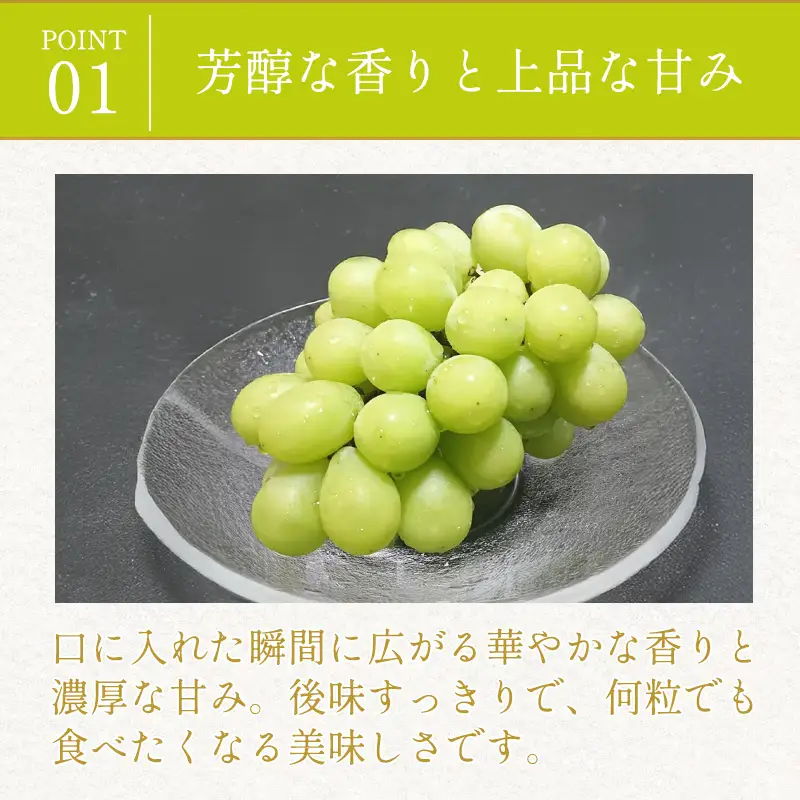 C-289 大粒シャインマスカット　2kg
