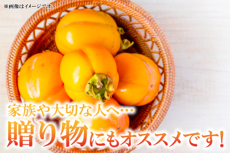 A-163 甘さたっぷり　益田特産　西条柿