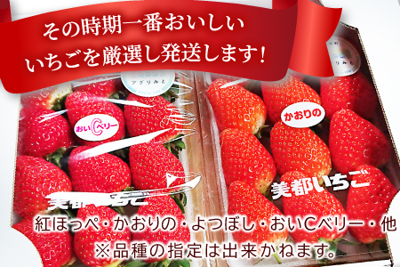 A-696 【初物！農家直送】美都いちご（350g×2パック）
