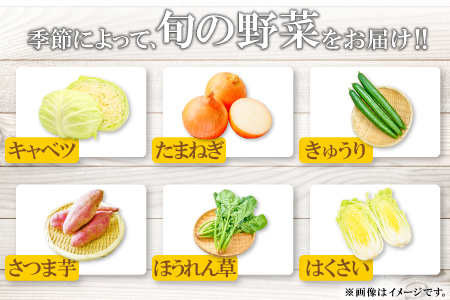 A-198 朝採れ地元  野菜おまかせセット