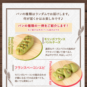 【P65001】大隅産 モリンガパン セット 60サイズ詰め合せ 7個前後 国産 パン スーパーフード ラスク 冷凍 手作り 【パン工房こかげ】