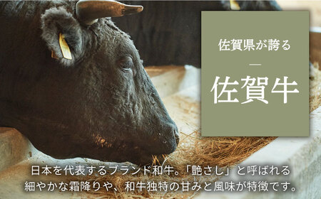 佐賀牛 焼肉用 食べ比べセット（希少部位2種） 600g / 牛肉 [IAH065]