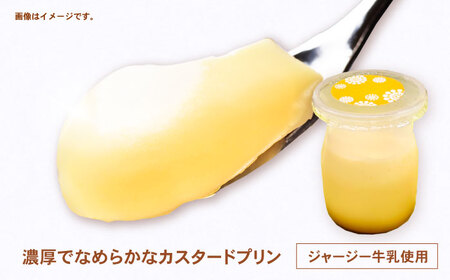 地元で大人気のなめらかプリン(6個入り) / プリン ぷりん 卵 カスタード カラメル なめらか / 諫早市 / ケーキショップ・ジタン [AHCR002]  