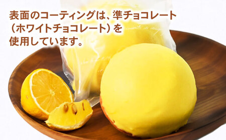 地元で大人気のレモンケーキ(10個入り) / レモンケーキ レモン スイーツ お菓子 / 諫早市 / ケーキショップ・ジタン [AHCR003]  